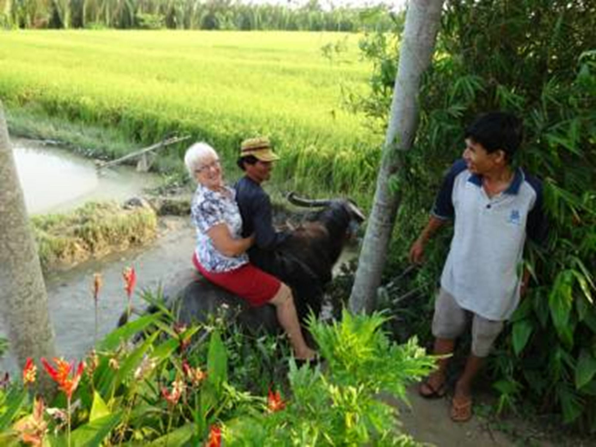 Hoi An Life Villa Esterno foto
